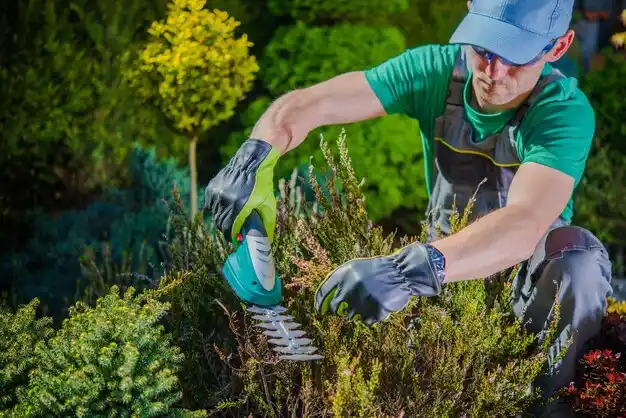 landscaping services North Randall